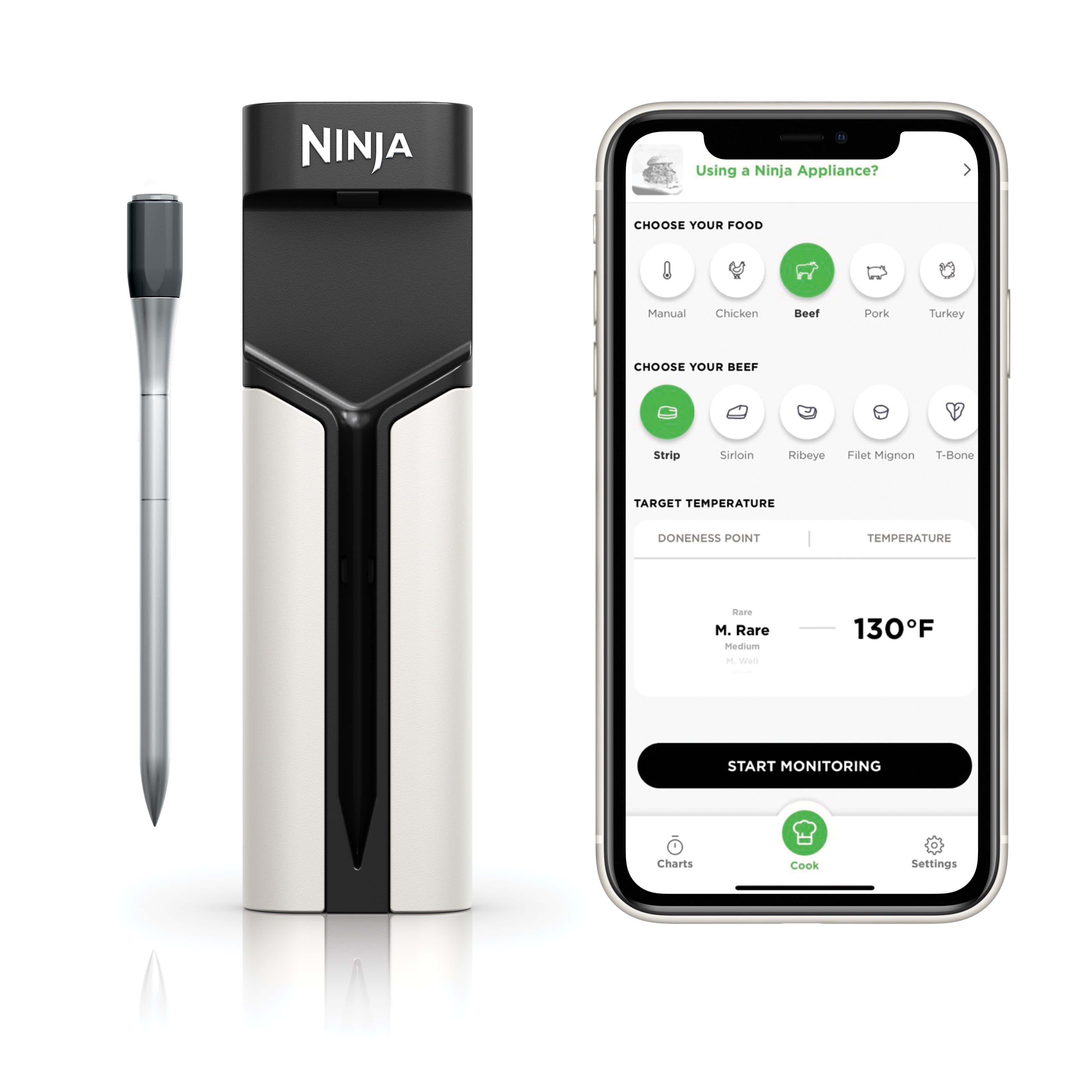 Wireless Thermometer 